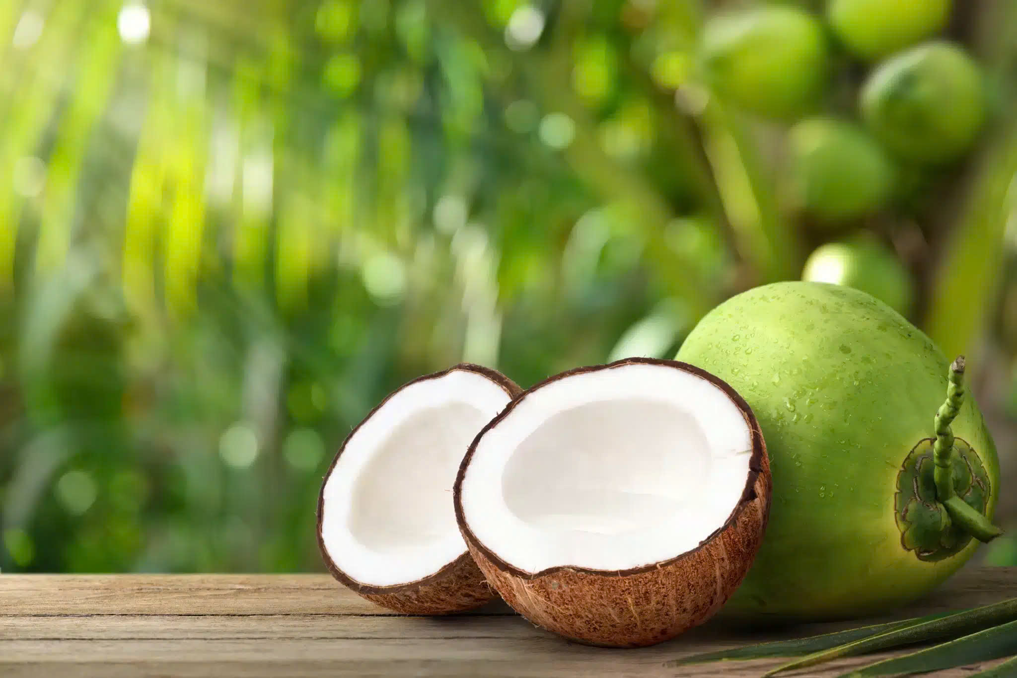 coconut-storage-tips