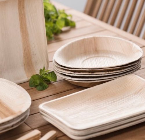 Areca Nut Leaf Tableware